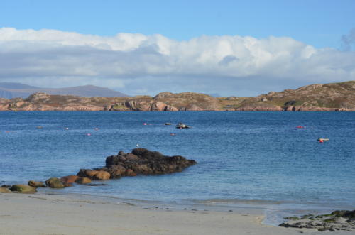 36-DSC_7090